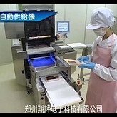 全自動蔬菜包裝機